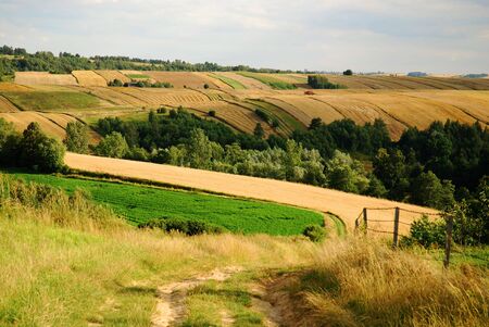 agricultural landscapeの写真素材