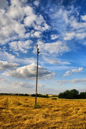 high voltage power lineの写真素材