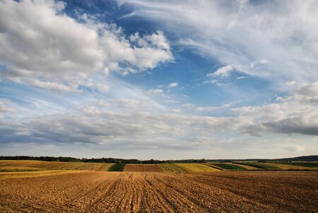 summer landscape