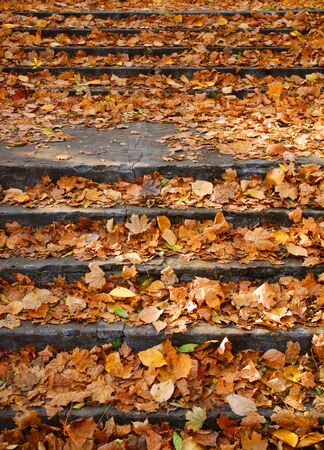 Piles of autumn leaves accumulate on steps - background image.の写真素材