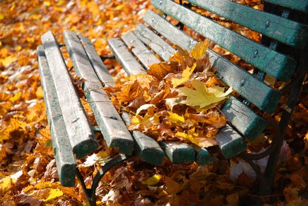 park bench in autumn with colorful leavesの写真素材