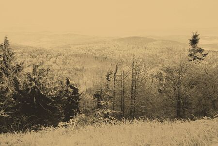 old style photo of winter sceneの写真素材