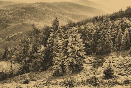 old style photo of winter sceneの写真素材