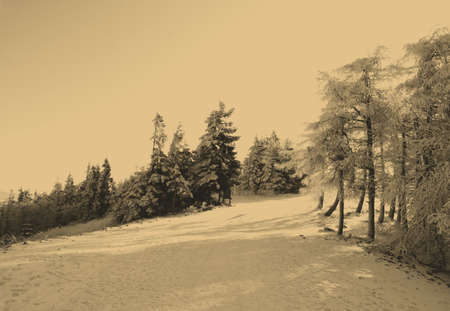 old style photo of winter sceneの写真素材