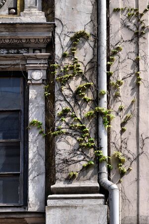 A drain pipe on the side of an old wall building. の写真素材