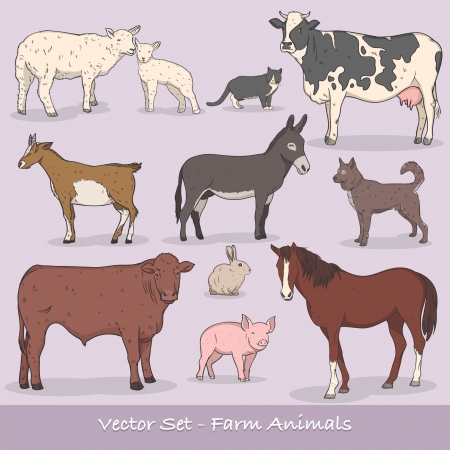 Farm Animal Vector Setのイラスト素材