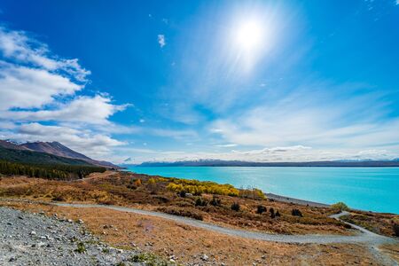 Beautiful view of bluish Pukaki lake with autumnal trees in the foreground and snowy Mount Cook in the background taken on a sunny day, New Zealandの写真素材