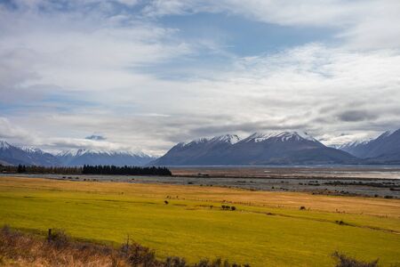 Beautiful view of a meadow with snowy Mount Cook in the background, New Zealandの写真素材