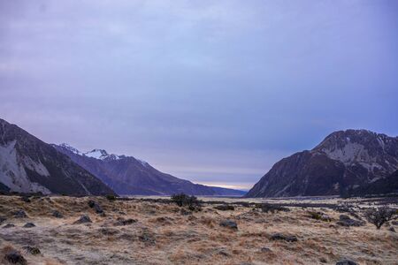 Beautiful view of a meadow with Mount Cook in the background, New Zealand