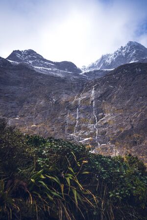 Impressive image of a waterfall with vegetation in the foreground on the SH94 road towards Milford Sound taken on a sunny winter day, New Zealandの写真素材