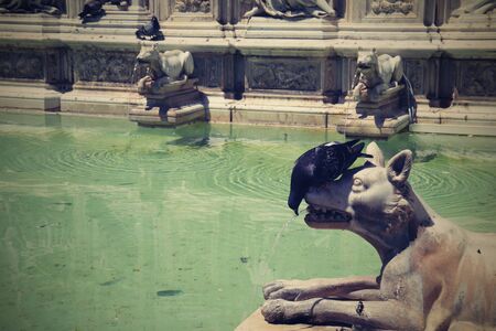 Siena Italyの写真素材