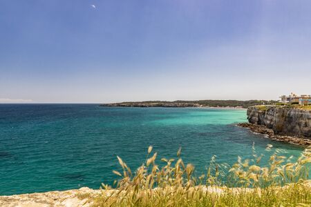 The bay of Torre dell'Orso, with its high cliffs, in Salento, Puglia, Italy. Turquoise sea and blue sky, sunny day in summer. Some houses above the reef. Tufts of grass and grasses in the foregroundの写真素材