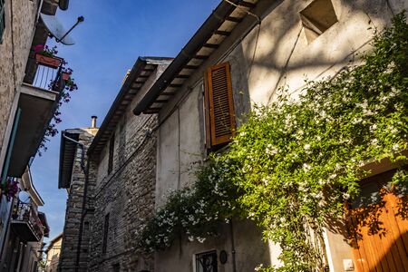 A narrow alley in the medieval village of Bevagna. Perugia, Umbria, Italy. The blue sky between the buildings. The flowering climbing jasmine, on the wall of a house. Stone and brick walls.の写真素材