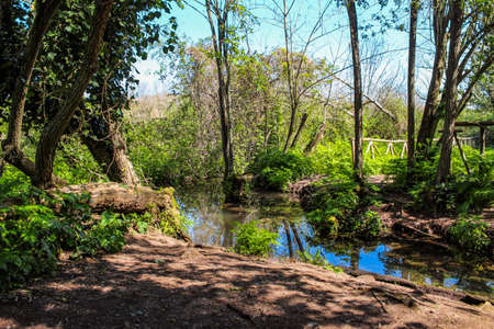 The Caffarella park in the city of Rome, Appia Antica, Almone riverの写真素材