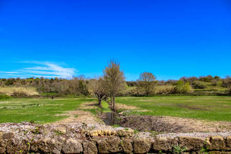 The Caffarella park in the city of Rome, Appia Antica, Almone riverの写真素材