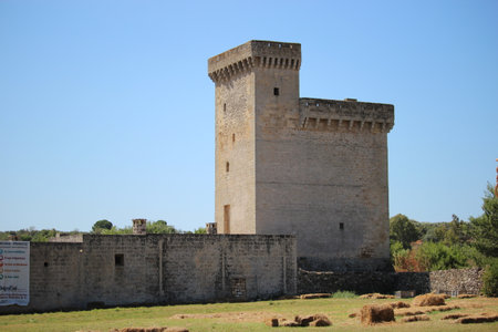 wheat festival at Acquarica del Capo, Presicce, Salento, Lecce, Italy, Puglia, Ancient masseria of Celsorizzo.の写真素材