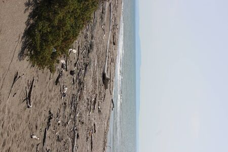 the deserted sea in winter with rough seas, seaweed on the shore and debris on the sand of the beach.の写真素材