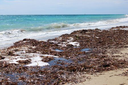 the deserted sea in winter with rough seas, seaweed on the shore and debris on the sand of the beach.の写真素材