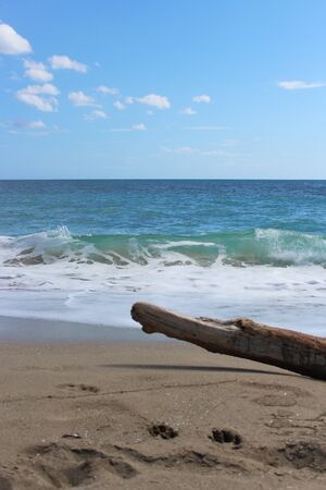 the deserted sea in winter with rough seas, seaweed on the shore and debris on the sand of the beach. A large tree trunk on the shore.の素材 [FY310149652908]