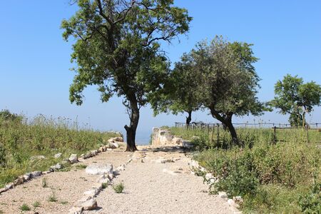 Archaeological site of the ancient city of Norba Latina, in the province of Latina, Lazio, Italy. The remains of stone walls and cobblestone streets.の写真素材