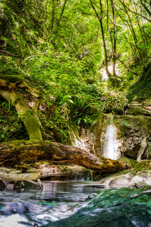 Waterfalls of the Rioscuro stream, in Cineto Romano, Rome, Lazio, Italy. Rich vegetation in the woods. Cool place, refreshment from summer heat. Trekking, mountain excursion. Peace, silence, nature.の写真素材