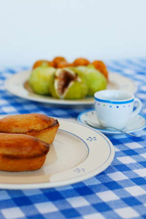 Breakfast in Salento, with typical products of the southern Italian tradition: Prickly pears, figs and Pasticciotto with cream on ceramic plates and white and blue checked tablecloth.の写真素材