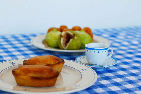 Breakfast in Salento, with typical products of the southern Italian tradition: Prickly pears, figs and Pasticciotto with cream on ceramic plates and white and blue checked tablecloth.の写真素材