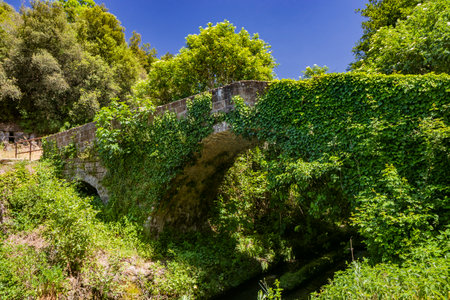 The small medieval village of Corchiano, in the province of Viterbo, in Lazio. The ancient Roman bridge over the Rio Fratta, in the gorge park, partly covered by vegetation.の写真素材