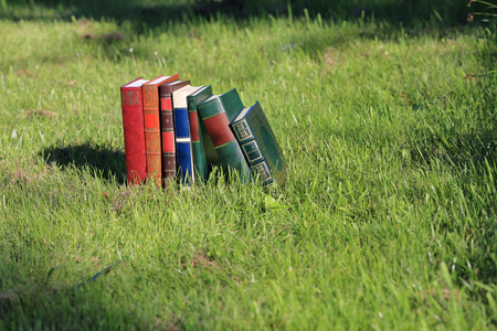 Books with beautiful covers on grassの写真素材