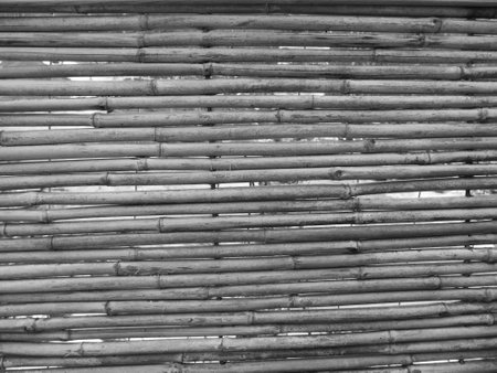 black and white bamboo wallの写真素材