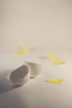 easter, an empty chicken egg shell with three yellow feathers on a white background