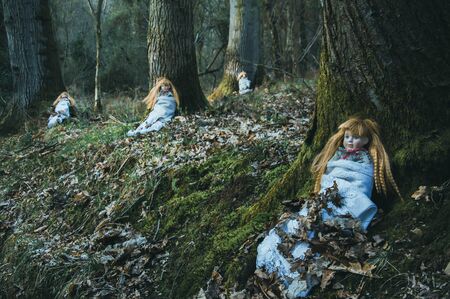 Creepy spooky dolls, sitting in a forest in winter. With a dark, muted edit.の写真素材