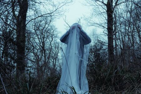 A scary horror, ghost, hooded figure standing in a forest in winter.