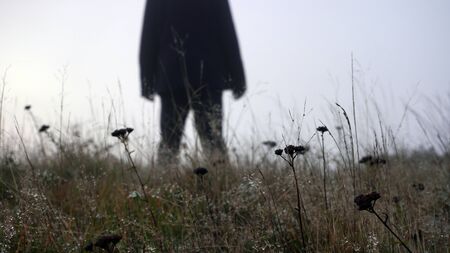 A mysterious spooky figure standing out of focus with a shallow depth of field in the background. With a close up of plants in a field on a cold, misty winters dayの写真素材