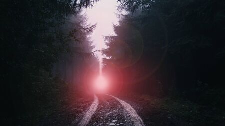 A UFO, light beam coming down on to a muddy track through an atmospheric conifer forest. On a moody, misty day.の写真素材