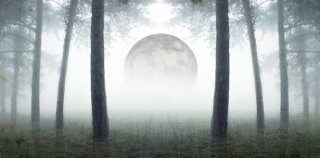 An artistic double exposure. Looking out across a misty field, framed by winter trees. Wih the moon rising in the background. With a grunge, blurred, weathered editの写真素材