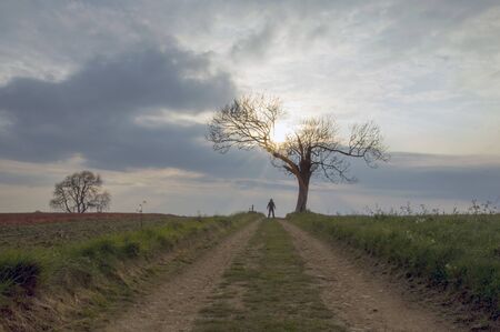 A country track leading to a spooky, lone, hooded figure standing in the distance beneath a tree at sunset.の写真素材
