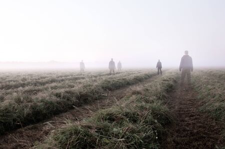 Mysterious ghostly figures, standing and looking out  in a cut meadow on a beautiful early misty summer morning.の写真素材