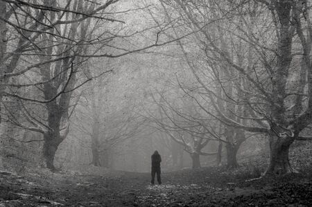 A spooky hooded figure, silhouetted on a path on a moody, foggy, winters day in a forest. With a textured, weathered, vintage editの写真素材