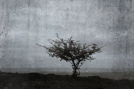 A lone tree on a hillside with the lights of a town in the background.. With a textured, weathered, vintage edit.の写真素材