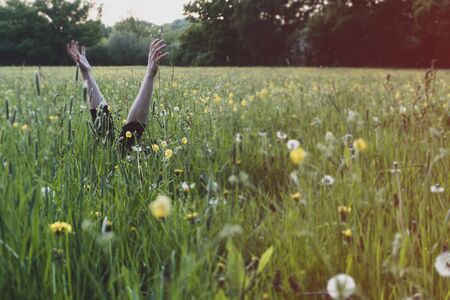 Mans arms waving in a meadow, surrounded by buttercups. on a spring evening. With a blurred, vintage editの写真素材