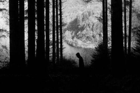 A spooky, eerie forest. With a hooded man silhouetted against the trees. With a textured, grunge,...