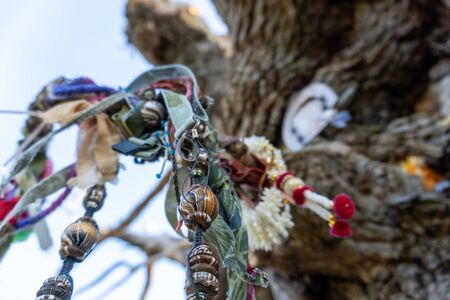 Offerings on an ancient pagan oak tree in the English countryside. Malvern Hills, UKの写真素材