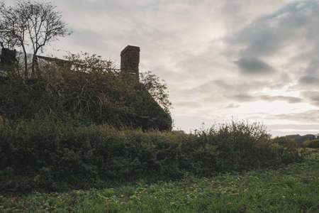 A spooky abandoned house, covered in vegetation. Standing in the countryside