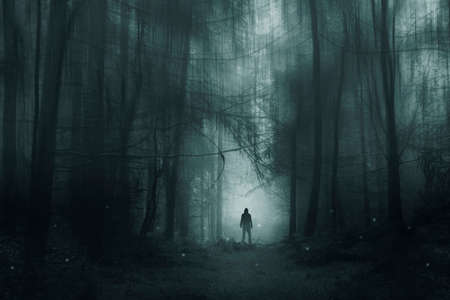 A spooky hooded figure, standing in a winter forest. With glowing supernatural lights. With a blurred, grunge, editの写真素材