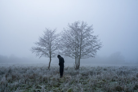 A frosty winters day with a man looking down between two trees, silhouetted against a misty sky. Castlemorton Common, Worcestershire, UK.の写真素材