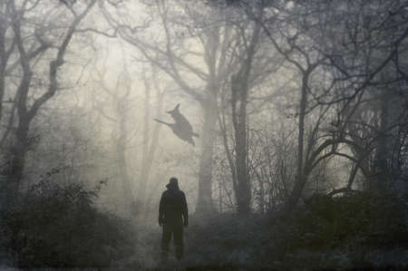 A man looking at a witch flying on a broomstick on a spooky winters day in a forest. With a grunge, artistic edit.の写真素材