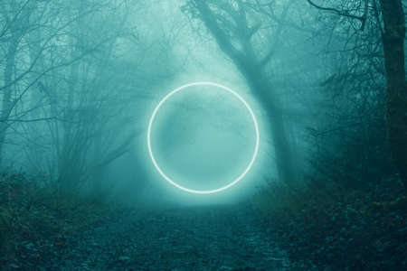 A glowing, portal, gateway on a forest track, in a spooky, foggy, winters evening. With a blurred magical edit.の写真素材