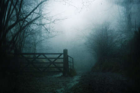 A  dream like concept of a path with a wooden gate through a spooky forest on a foggy winters day. With a grunge, abstract edit.の写真素材