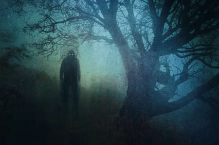 A horror concept of a ghostly figure with glowing eyes in a forest on a moody, foggy winters day....